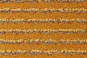 Ковролин Radici Painstripe Biscotto 2706 фото  | FLOORDEALER